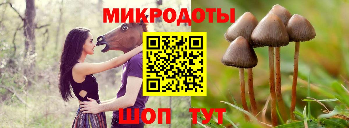 Галлюциногенные грибы мицелий Дербент